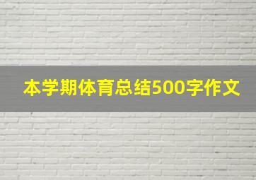 本学期体育总结500字作文