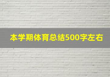 本学期体育总结500字左右