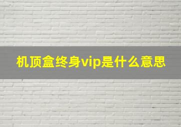 机顶盒终身vip是什么意思