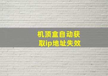 机顶盒自动获取ip地址失效