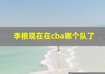 李根现在在cba哪个队了