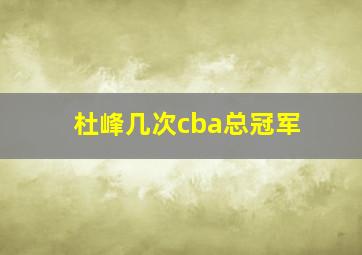 杜峰几次cba总冠军