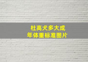 杜高犬多大成年体重标准图片