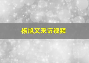 杨旭文采访视频