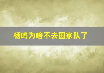 杨鸣为啥不去国家队了