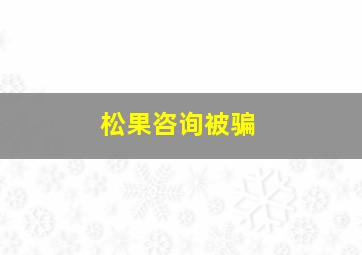 松果咨询被骗