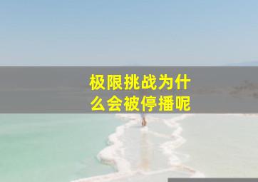 极限挑战为什么会被停播呢