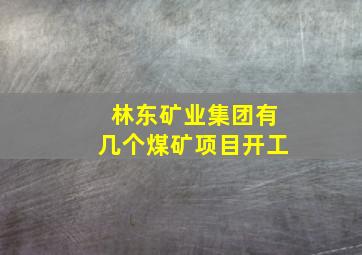 林东矿业集团有几个煤矿项目开工