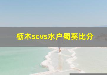 枥木scvs水户蜀葵比分