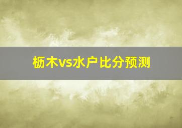 枥木vs水户比分预测