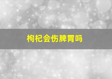 枸杞会伤脾胃吗