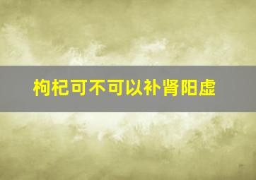 枸杞可不可以补肾阳虚