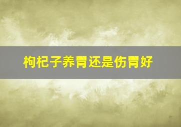 枸杞子养胃还是伤胃好