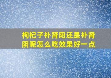 枸杞子补肾阳还是补肾阴呢怎么吃效果好一点