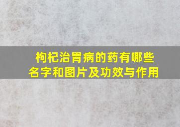 枸杞治胃病的药有哪些名字和图片及功效与作用