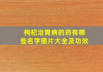 枸杞治胃病的药有哪些名字图片大全及功效