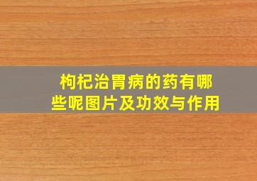 枸杞治胃病的药有哪些呢图片及功效与作用