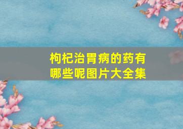 枸杞治胃病的药有哪些呢图片大全集