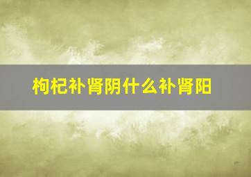 枸杞补肾阴什么补肾阳