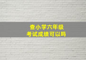 查小学六年级考试成绩可以吗