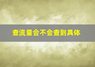 查流量会不会查到具体