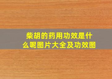 柴胡的药用功效是什么呢图片大全及功效图