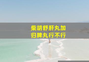 柴胡舒肝丸加归脾丸行不行