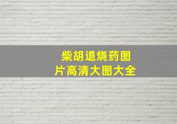 柴胡退烧药图片高清大图大全