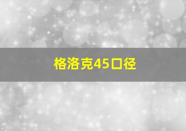 格洛克45口径