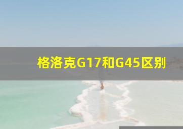 格洛克G17和G45区别