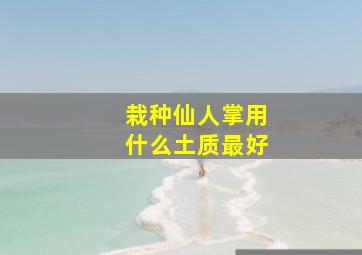 栽种仙人掌用什么土质最好