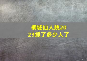 桐城仙人跳2023抓了多少人了