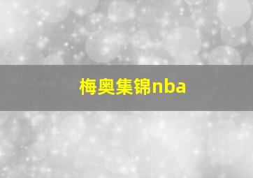 梅奥集锦nba