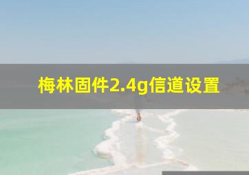 梅林固件2.4g信道设置