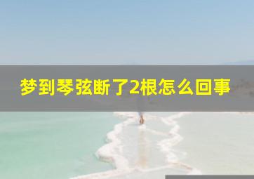 梦到琴弦断了2根怎么回事