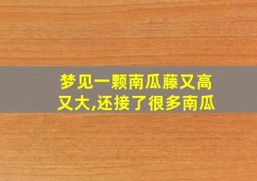 梦见一颗南瓜藤又高又大,还接了很多南瓜