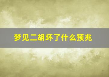 梦见二胡坏了什么预兆