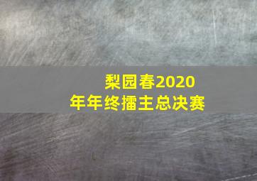 梨园春2020年年终擂主总决赛