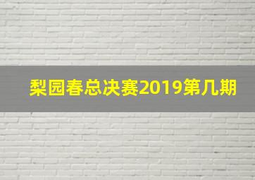 梨园春总决赛2019第几期