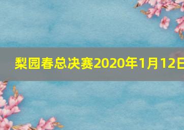 梨园春总决赛2020年1月12日