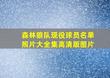 森林狼队现役球员名单照片大全集高清版图片