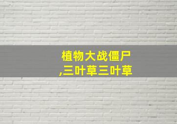 植物大战僵尸,三叶草三叶草