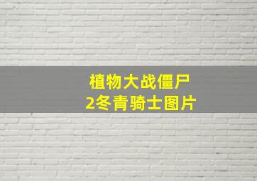 植物大战僵尸2冬青骑士图片