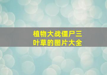 植物大战僵尸三叶草的图片大全