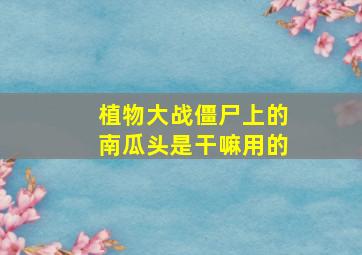 植物大战僵尸上的南瓜头是干嘛用的