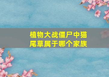 植物大战僵尸中猫尾草属于哪个家族