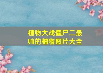 植物大战僵尸二最帅的植物图片大全