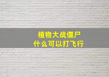 植物大战僵尸什么可以打飞行