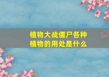 植物大战僵尸各种植物的用处是什么