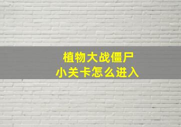 植物大战僵尸小关卡怎么进入